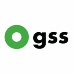 GSS   Global Systems  Software logo.jfif1  300x300