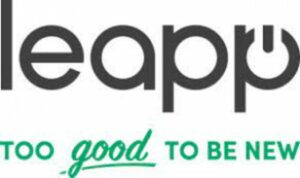 Leapp Holding logo1 300x178