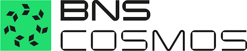 bns Cosmos logo